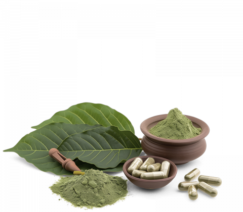 practice-area_kratom-substance kratom and substance products